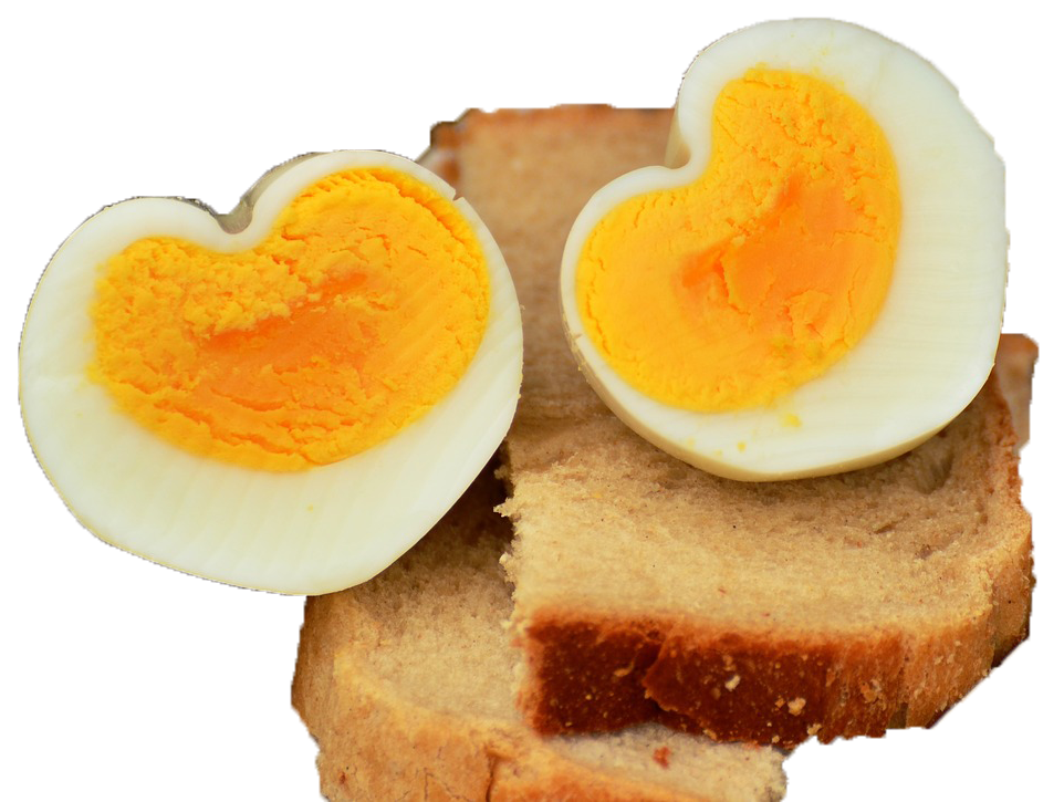 egg sandwich png copy