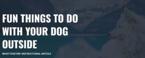 FUN THINGS TO DO WITH YOUR DOG OUTSIDE