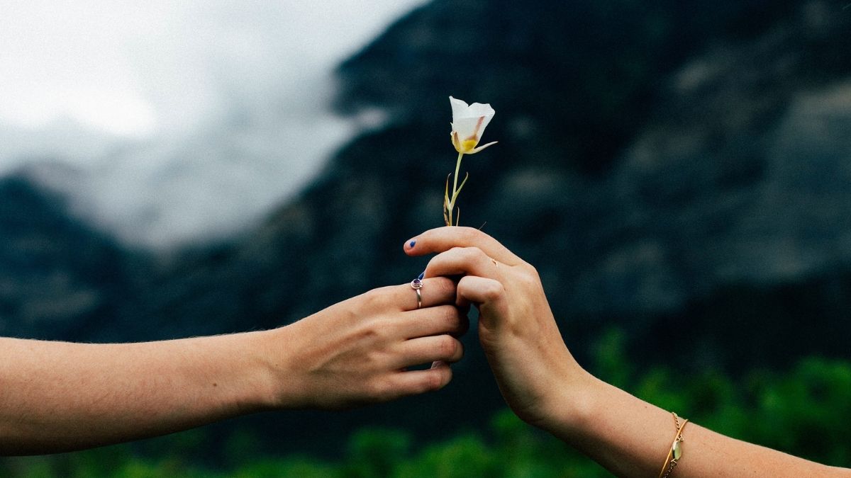 Guy gives Flower to his girlfriend