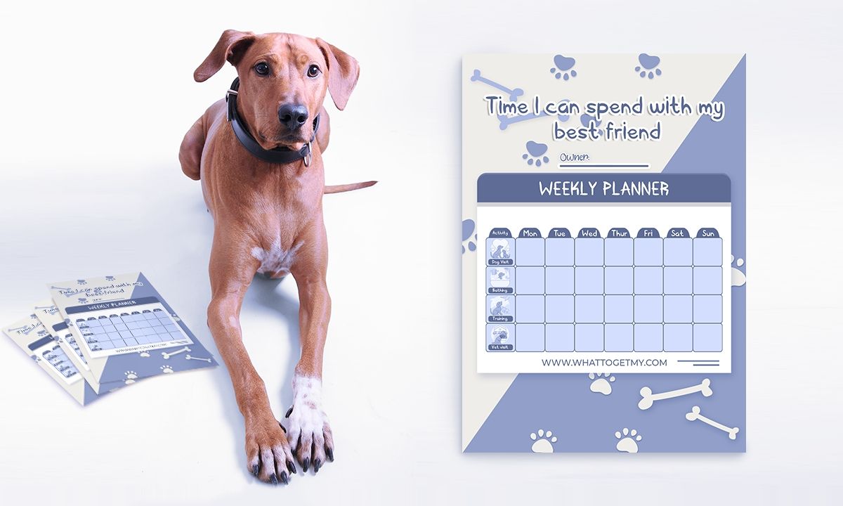 Download This Free Printable Weekly Planner Card