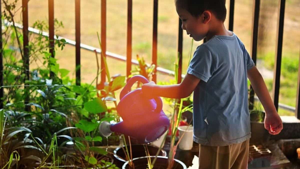 Gardening