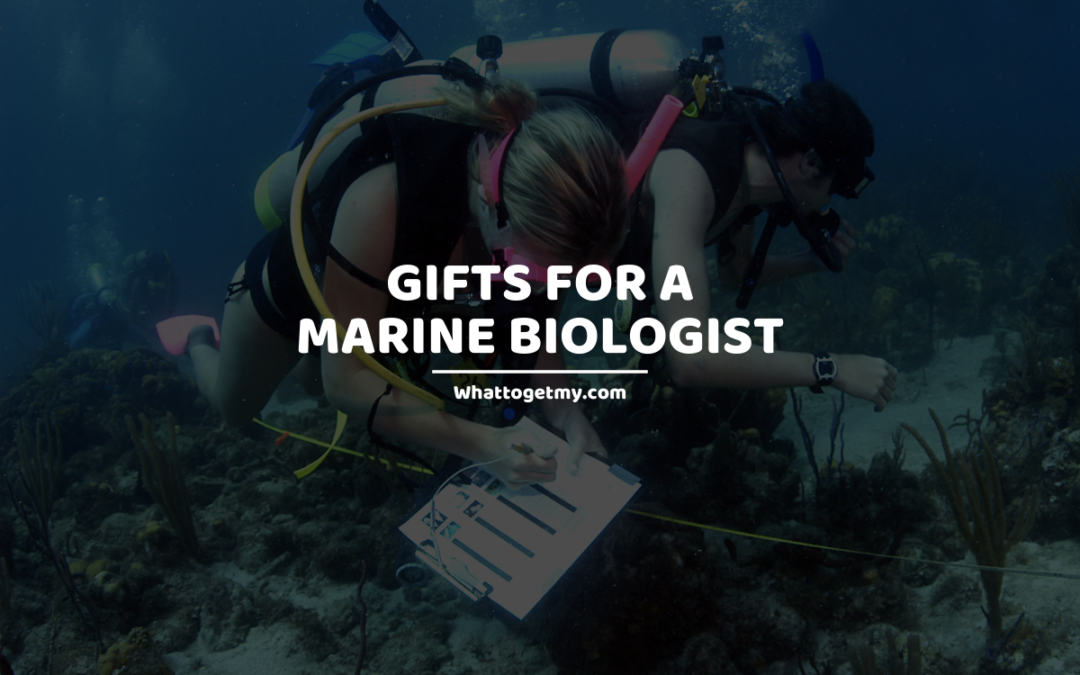7 Perfect Gifts For a Marine Biologist What to get my...