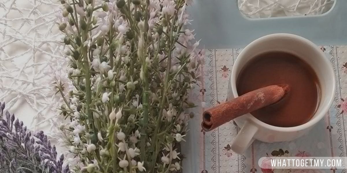 Homemade Hot Cocoa (Healthy Alternatives to Coffee)