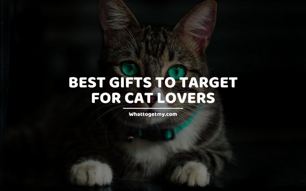 BEST GIFTS TO TARGET FOR CAT LOVERS