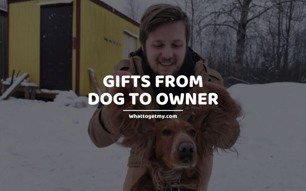 GIFTS FROM DOG TO OWNER