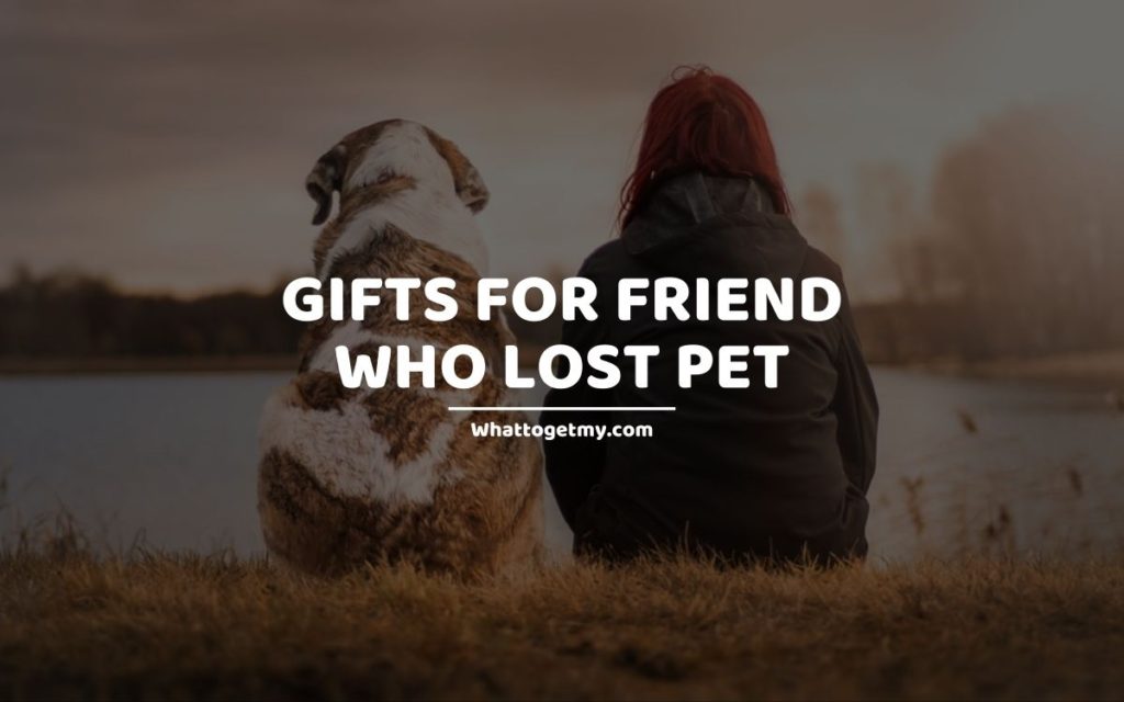 15 Gift Ideas For Friend Who Lost A Pet What To Get My