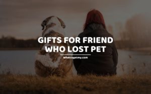Gifts for Friend Who Lost Pet