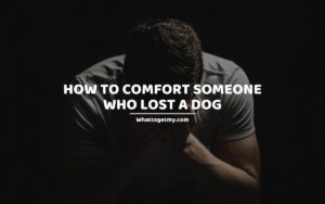 HOW TO COMFORT SOMEONE WHO LOST A DOG