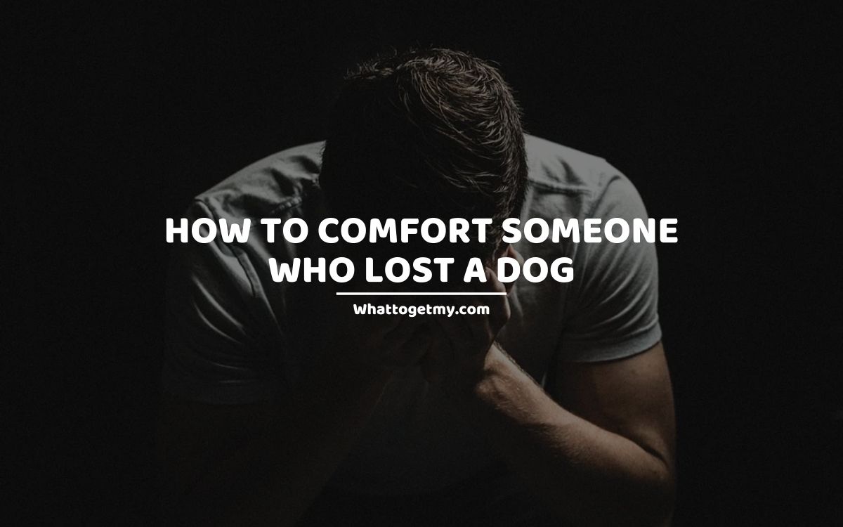 how-to-comfort-someone-who-lost-a-dog-what-to-get-my