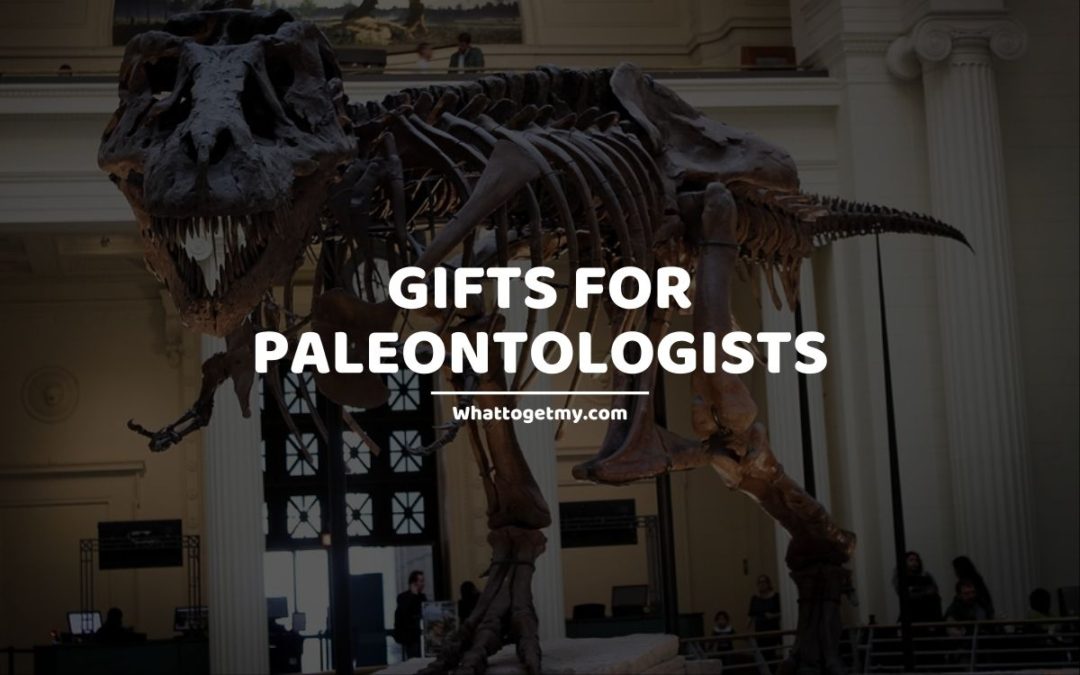 30 Paleontology Gifts For Paleontologists and Dinosaur Lovers What to