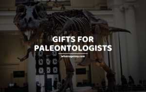 Gifts For Paleontologists
