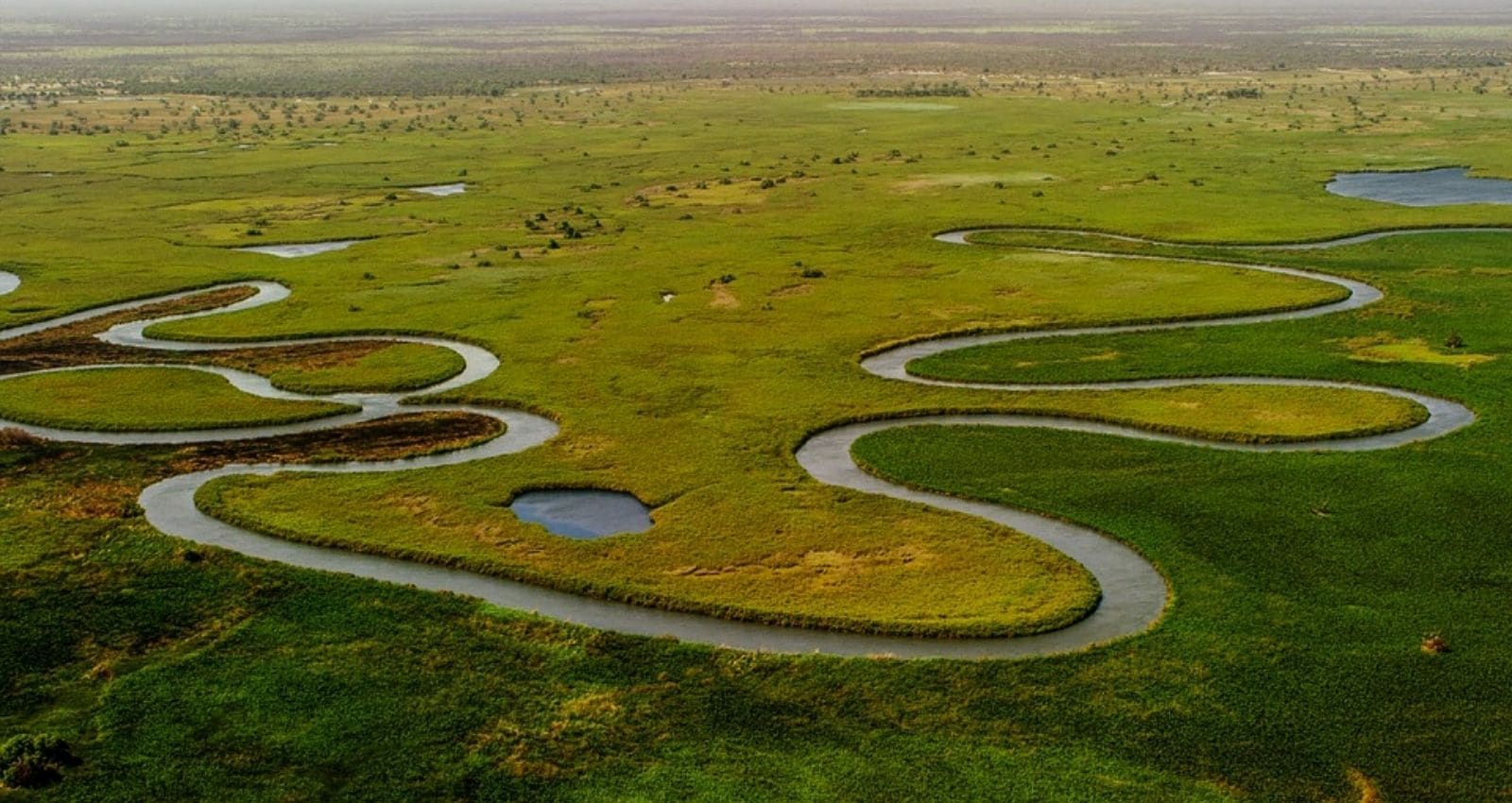 OKAVANGO DELTA