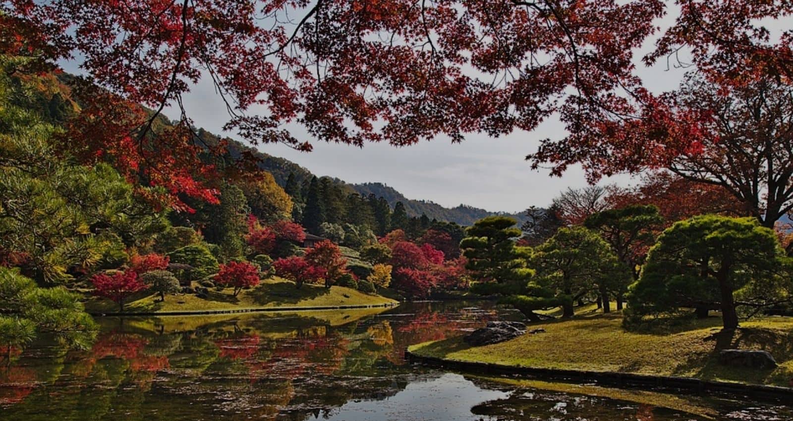 japan-kyoto-park-autumn-leaves