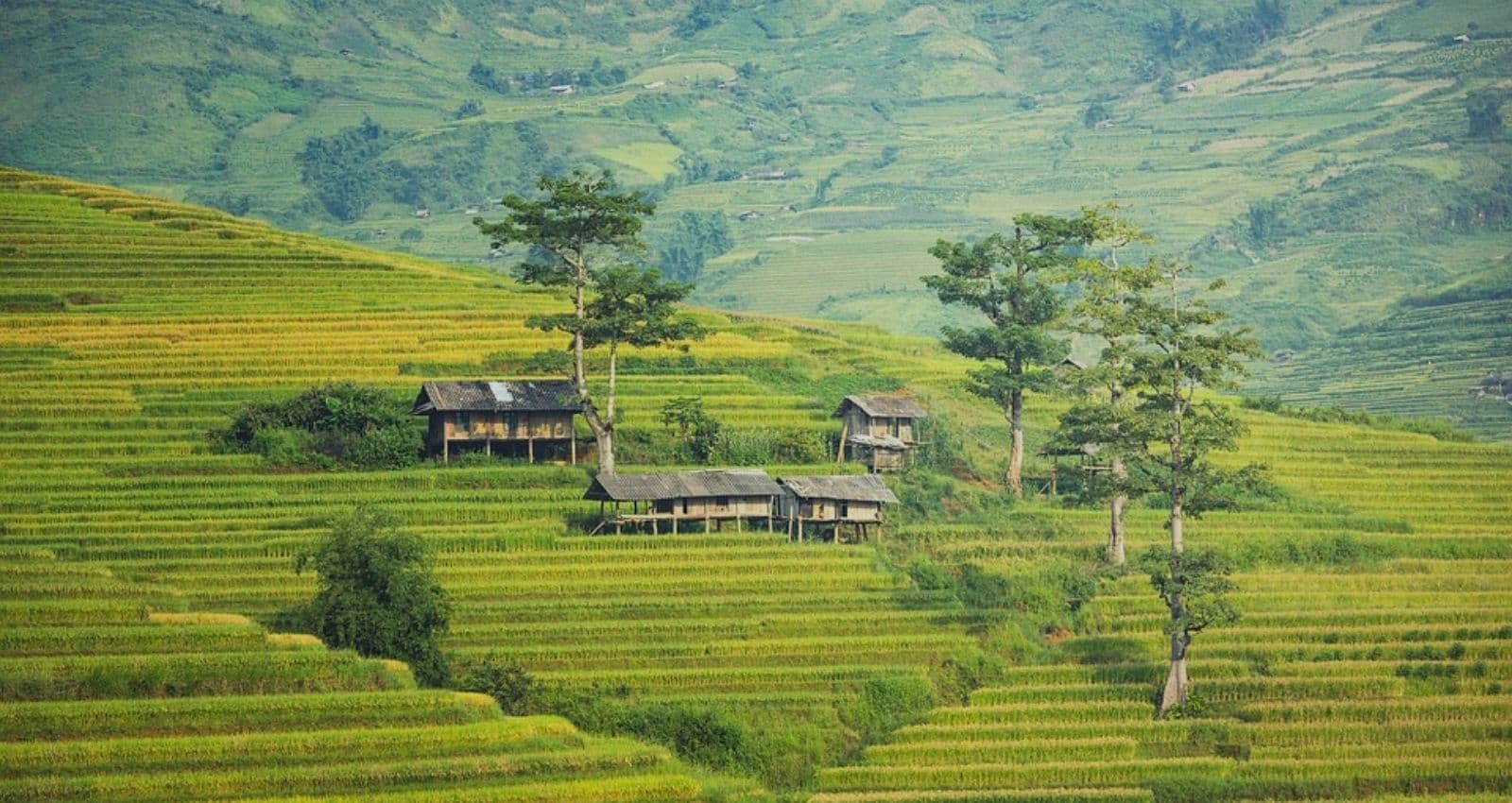 CAMBODIA