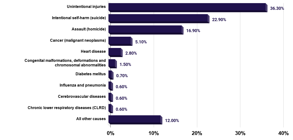 Distribution of the 10 leading causes of death among teenagers aged 15 to 19 years in the United States in 2017