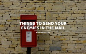 Things to Send Your Enemies in the Mail