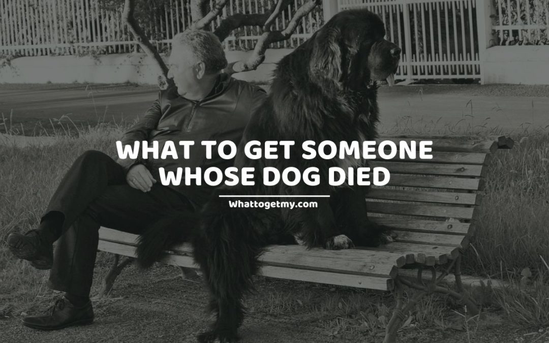 How to Comfort Someone Who Lost a Dog What to get my...