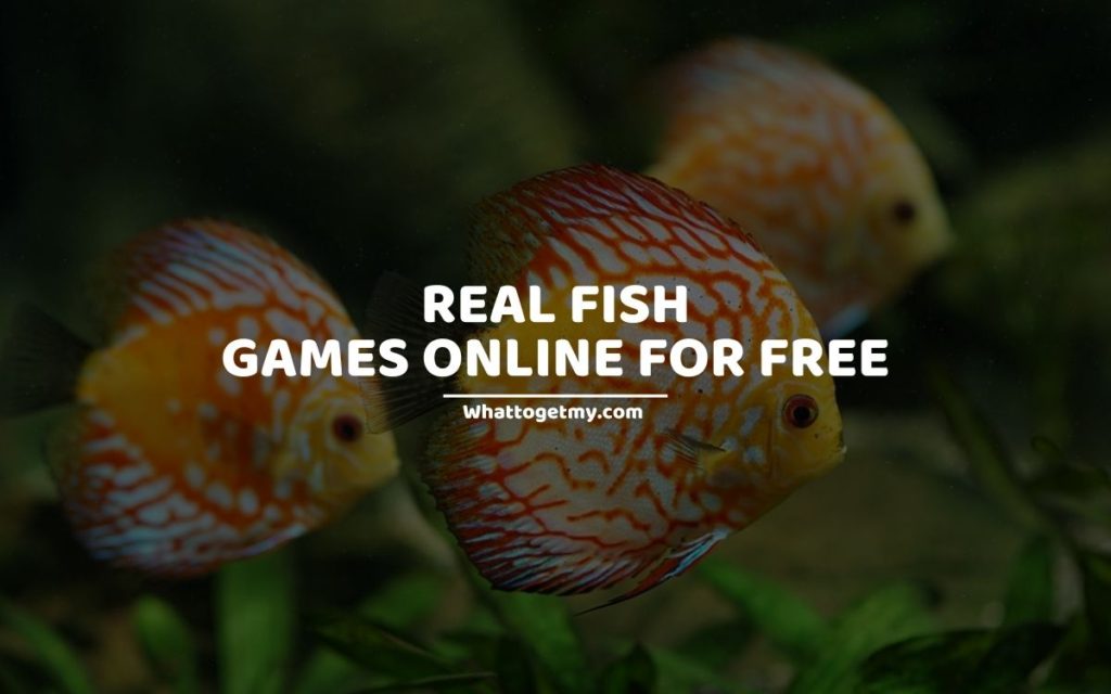 Real Fish Games Online For Free