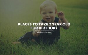 PLACES TO TAKE 2 YEAR OLD FOR BIRTHDAY