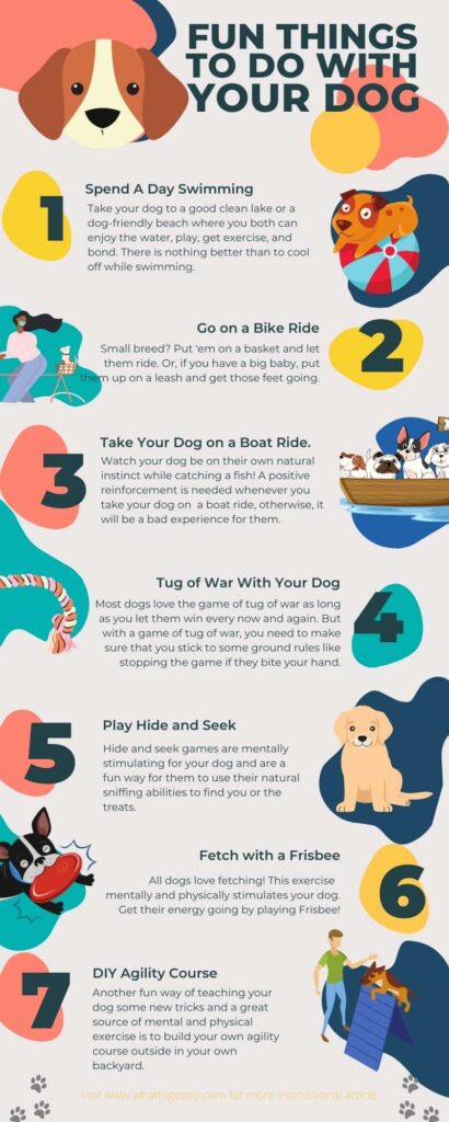 FUN THINGS TO DO WITH YOUR DOG OUTSIDE - What to get my...