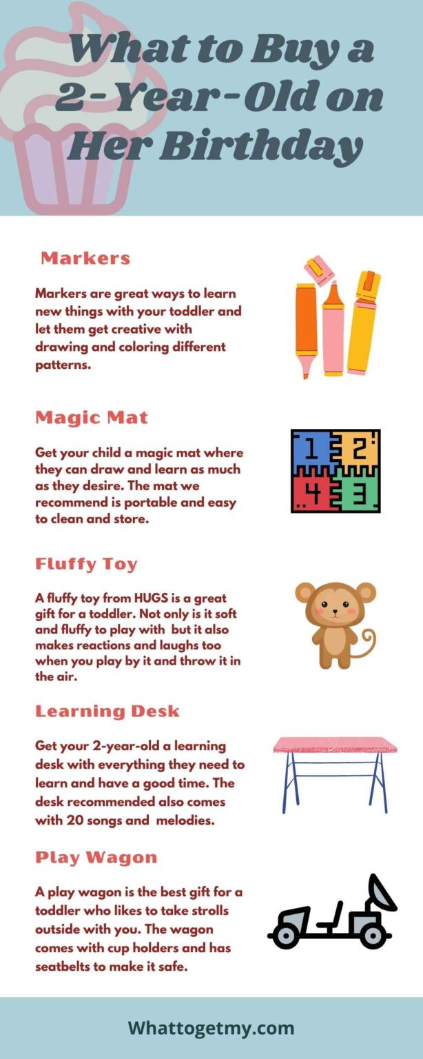 6 Unique Ideas On What To Buy A 2 year old For Her Birthday What To 
