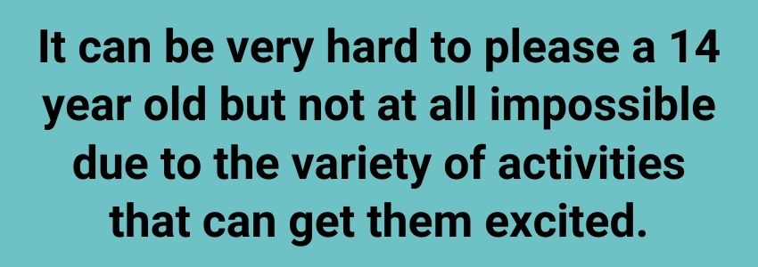 It can be very hard to please a 14 year old but not at all impossible due to the variety of activities that can get them excited.