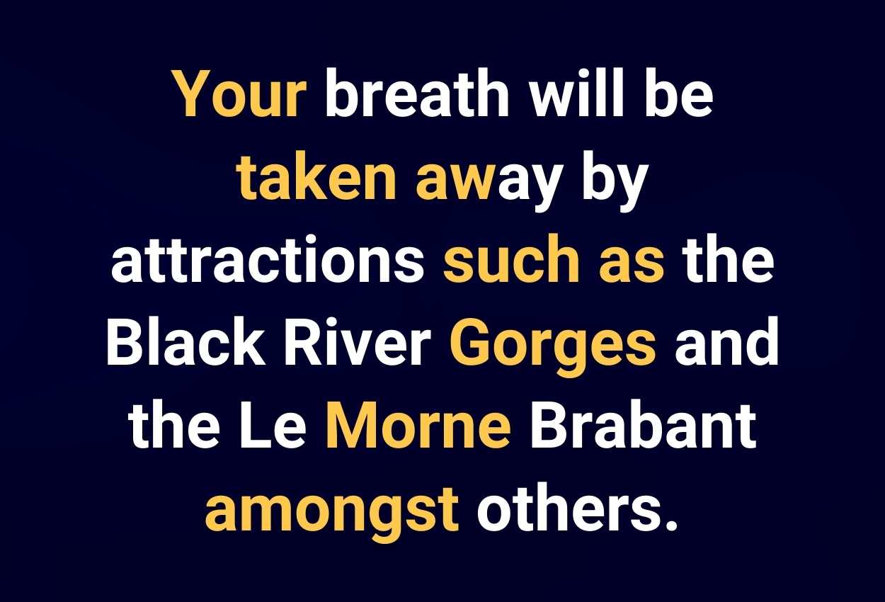 Your breath will be taken away by attractions such as the Black River Gorges and the Le Morne Brabant amongst others.