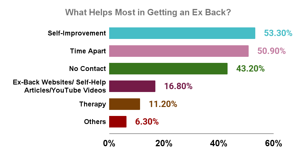 What Helps Most in Getting an Ex Back_