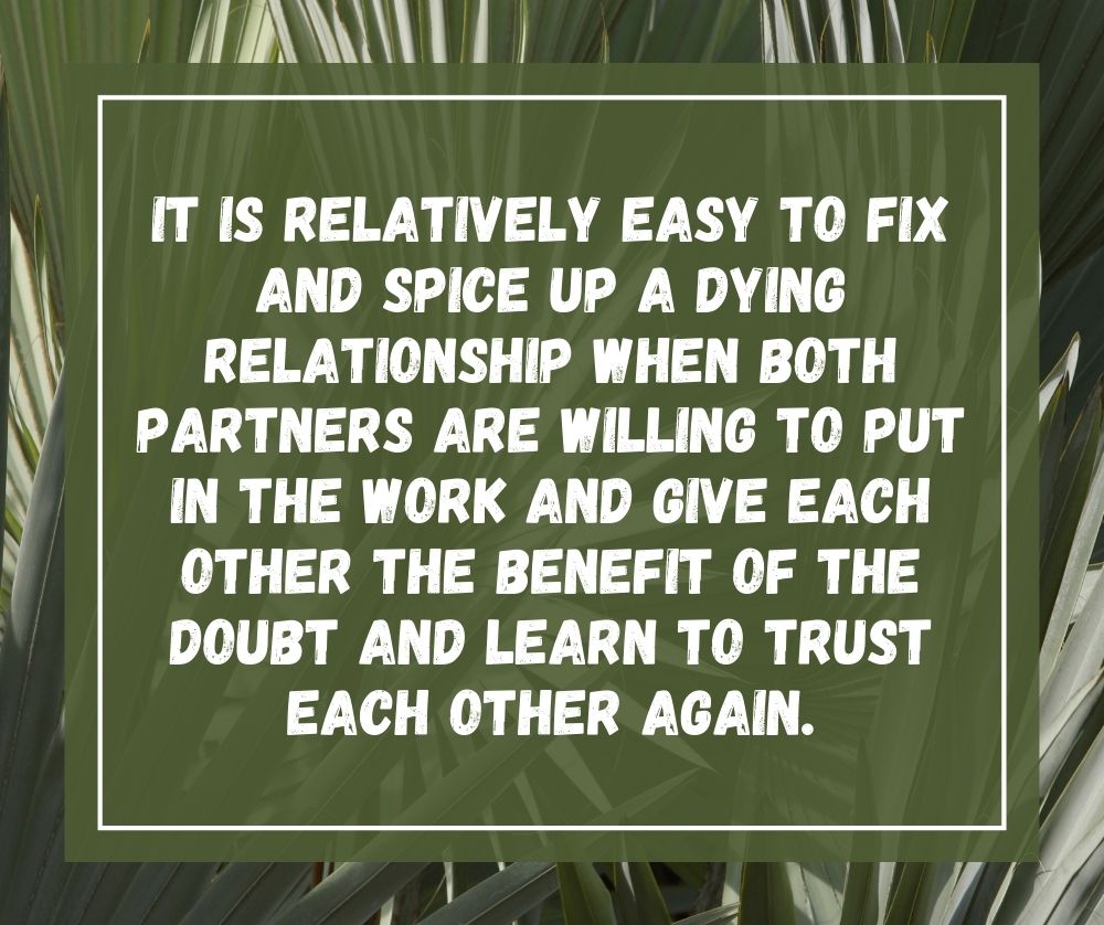 it is relatively easy to fix and spice up a dying relationship when both partners are willing to put in the work