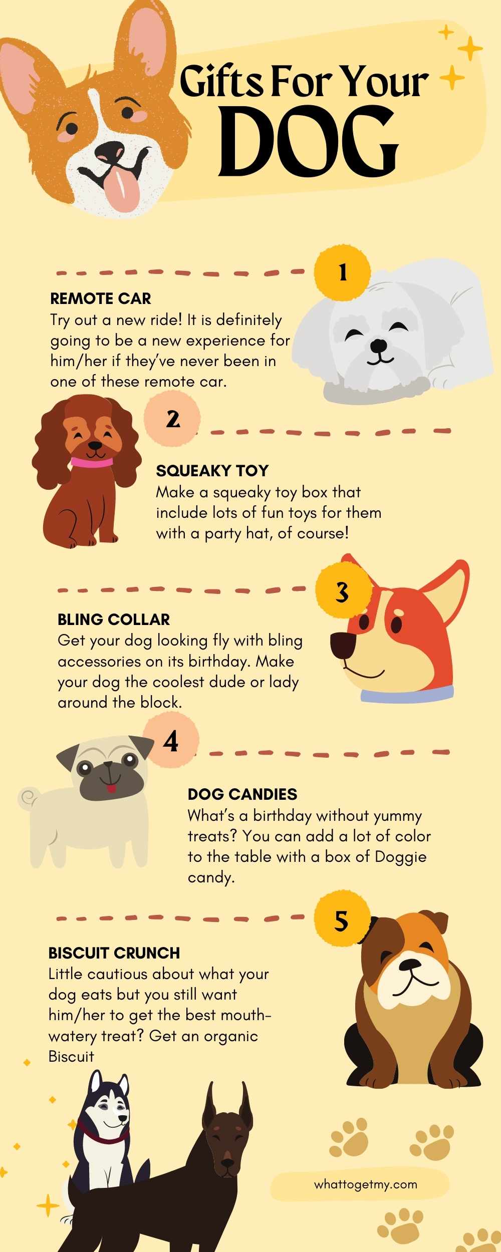 Gifts For Your Dog