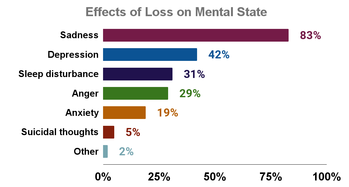 Effects of Loss on Mental State