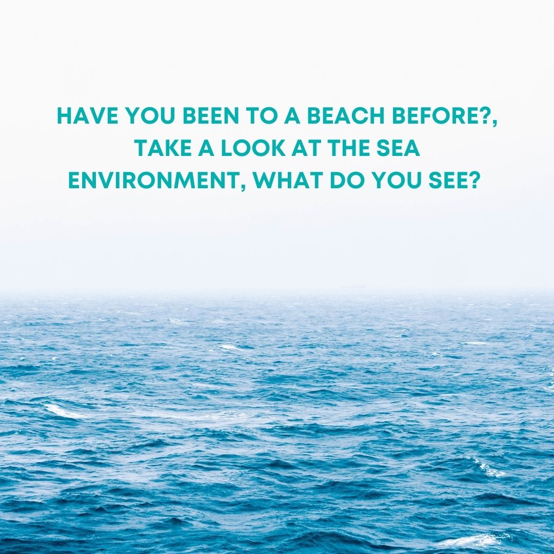 Have you been to a beach before, take a look at the sea environment, what do you see