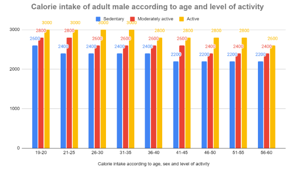 Calorie intake of adult male according to age and level of activity